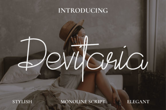 Devitaria Script: A Delicate Typeface for Elegant Design