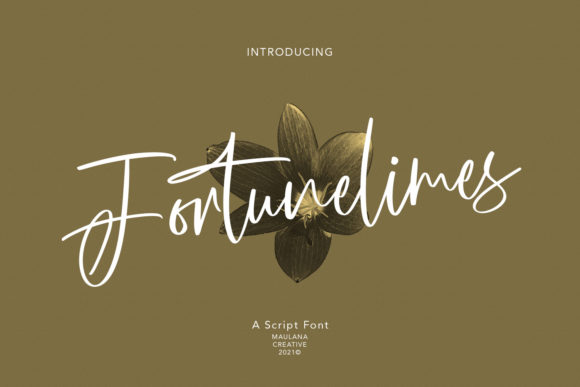 Fortunelimes Script: A Stylish Web Font