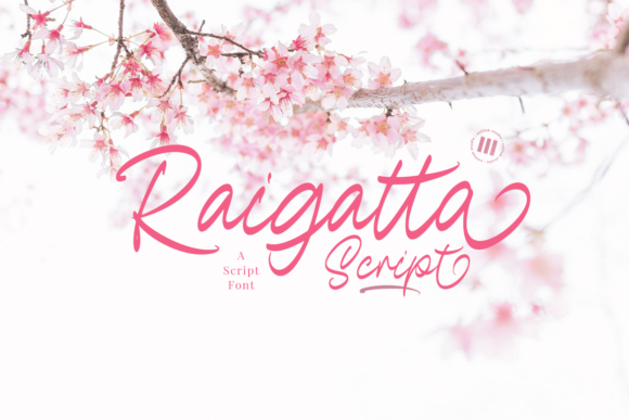 Raigatta Script: A Stylish Font for Web Design